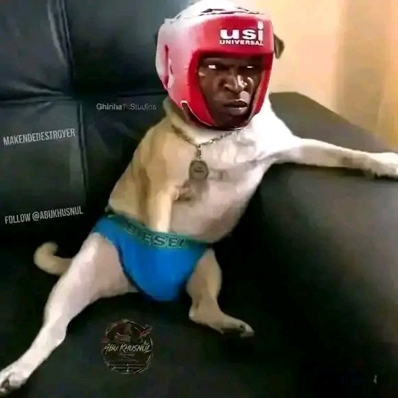 Mrgeetycoon 🇰🇪 tweet media