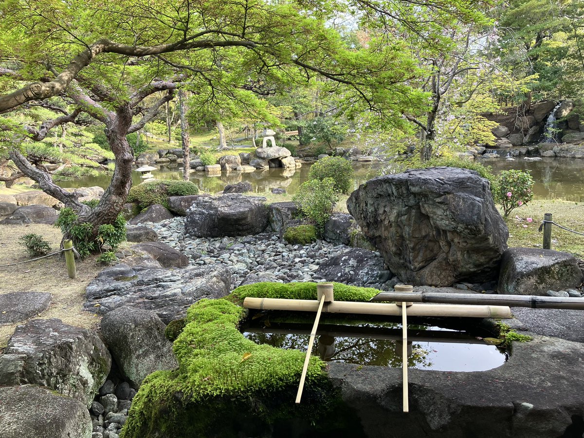 じんさんNK🚀🐰 tweet media