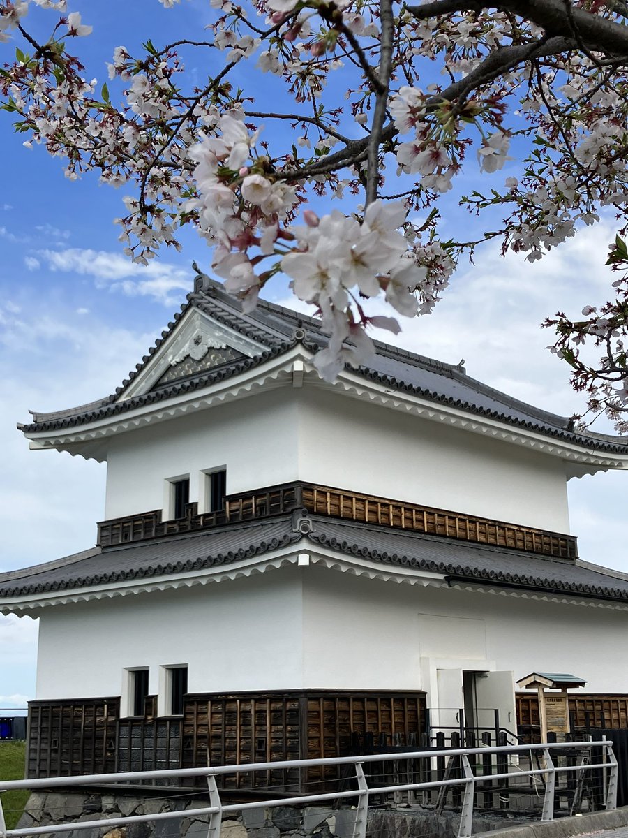 じんさんNK🚀🐰 tweet media