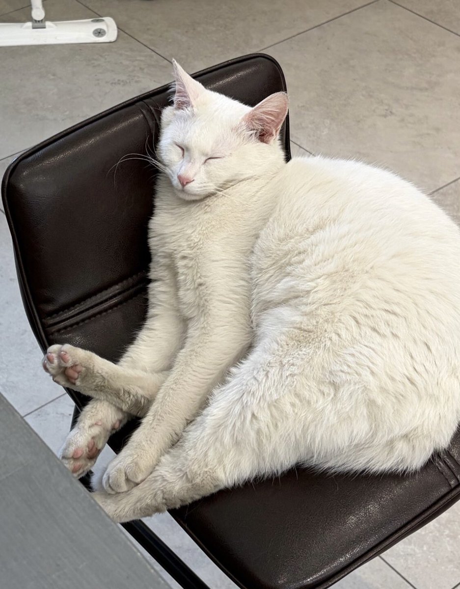 مـُعـاونـة طِبـيـة ✙ tweet media