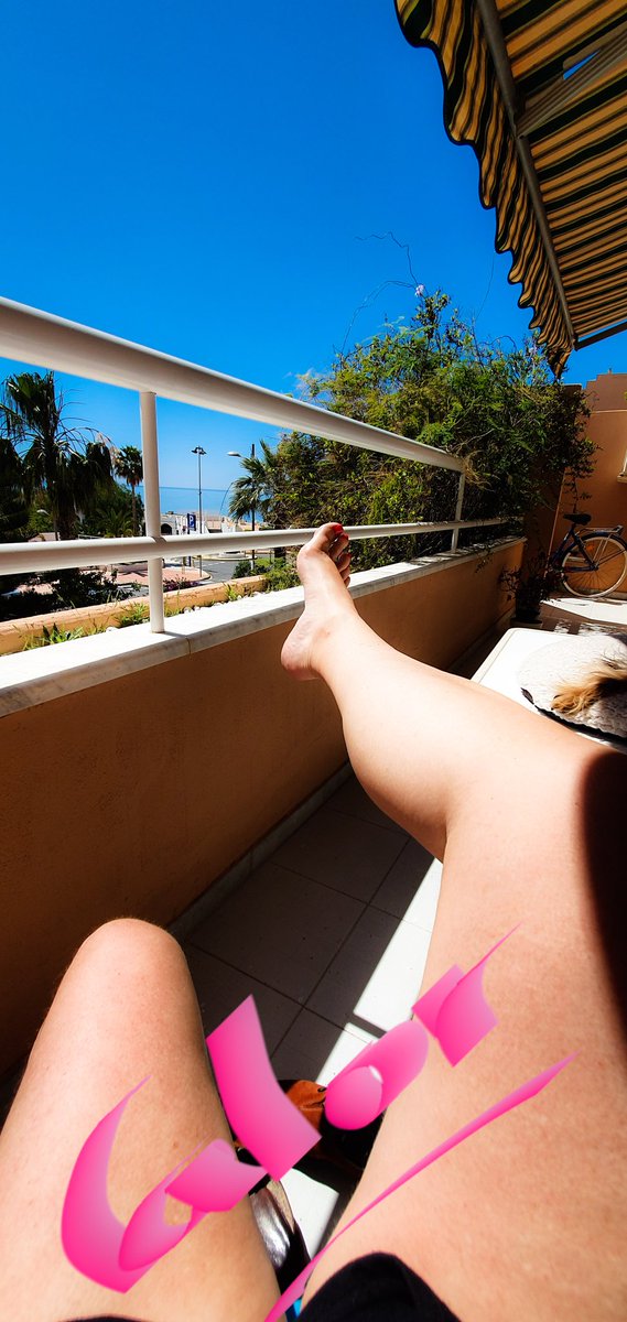 Sunflower tweet media