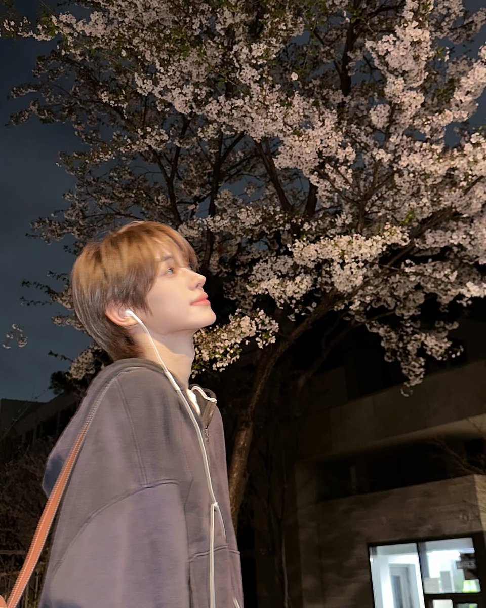 Din🐈⬛ tweet media