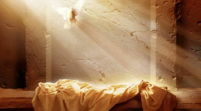 𝕭𝖎𝖘𝖍𝖔𝖕 𝕽𝖔𝖇𝖊𝖗𝖙 𝕽𝖊𝖊𝖉 𓀦 tweet media