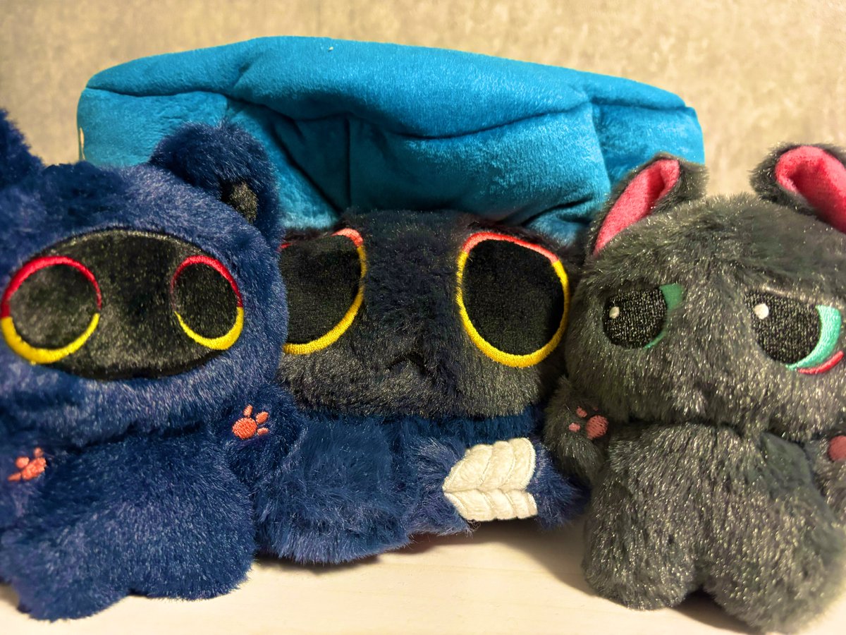 西園☻多忙 tweet media