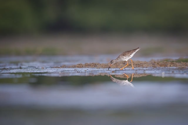 Kenneth Chesterton tweet media