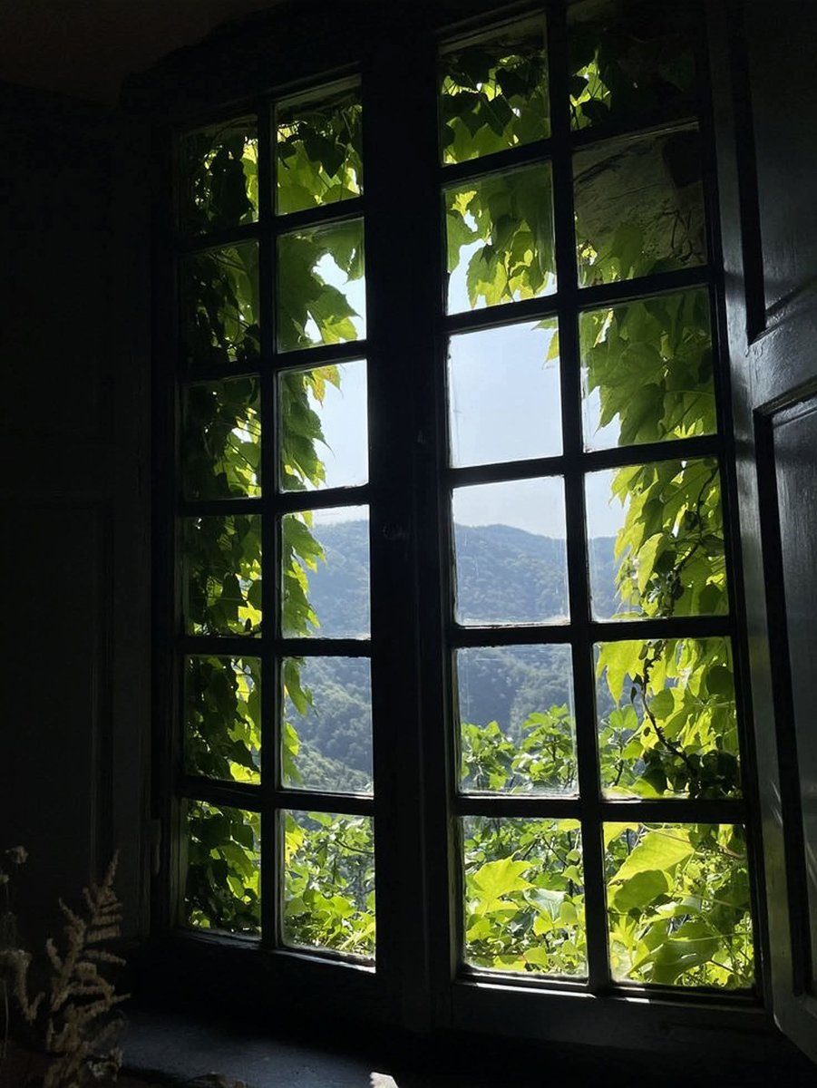 ѕυииу tweet media