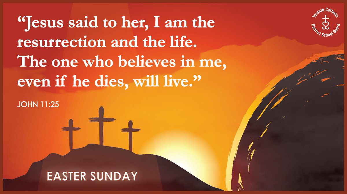 Toronto Catholic District School Board tweet media