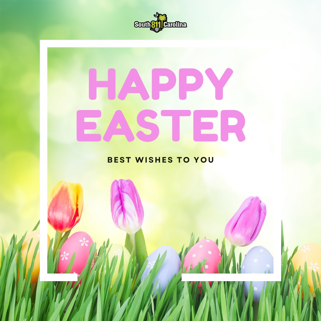 South Carolina 811 tweet media