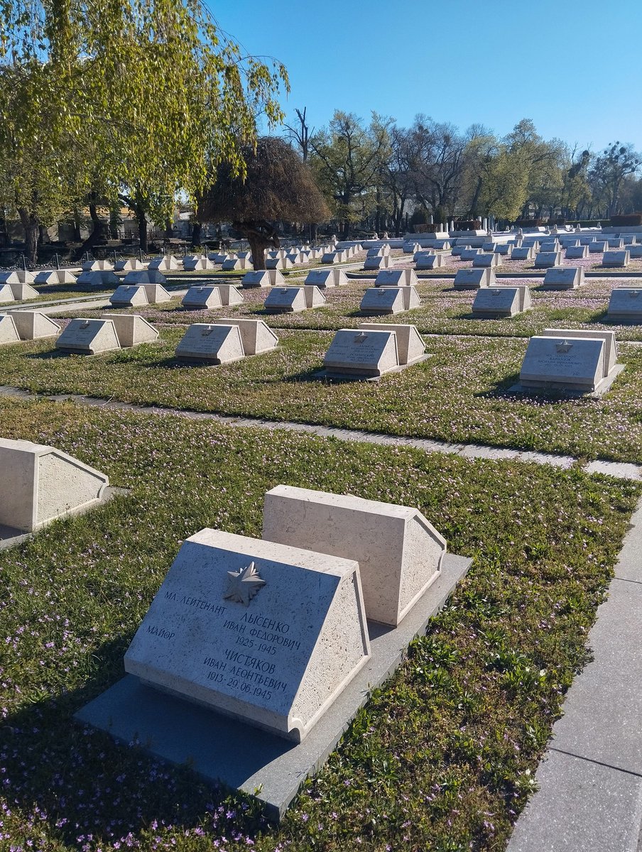 CEO Of Frenology tweet media