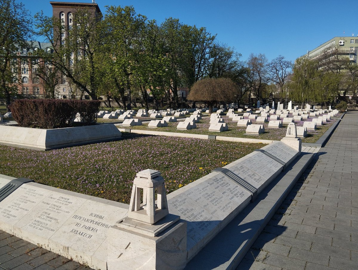 CEO Of Frenology tweet media