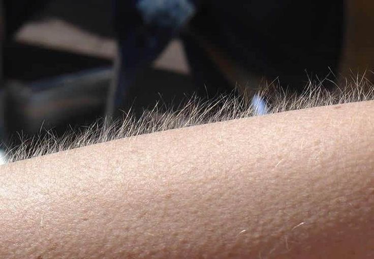 lexitzypedia's tweet photo. “if a man talks shit then i owe him nothing” https://t.co/EBwDNOSOmI