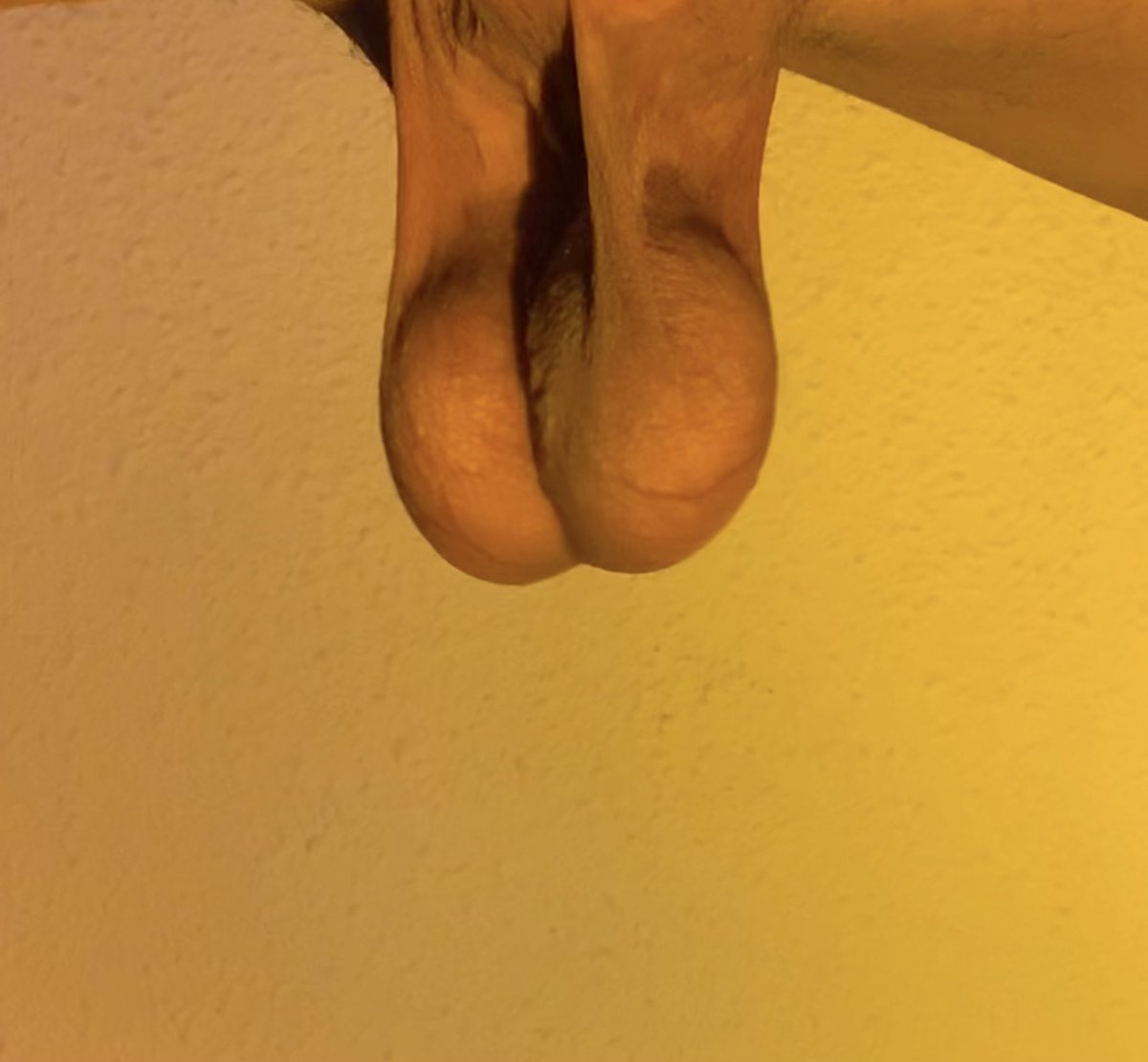 C O Y O T E tweet media