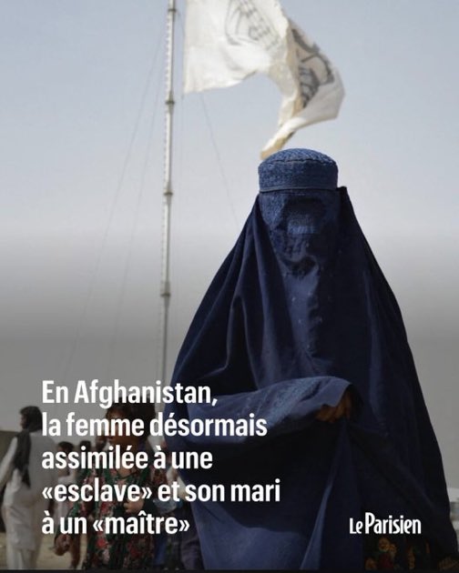 Casus Lady tweet media