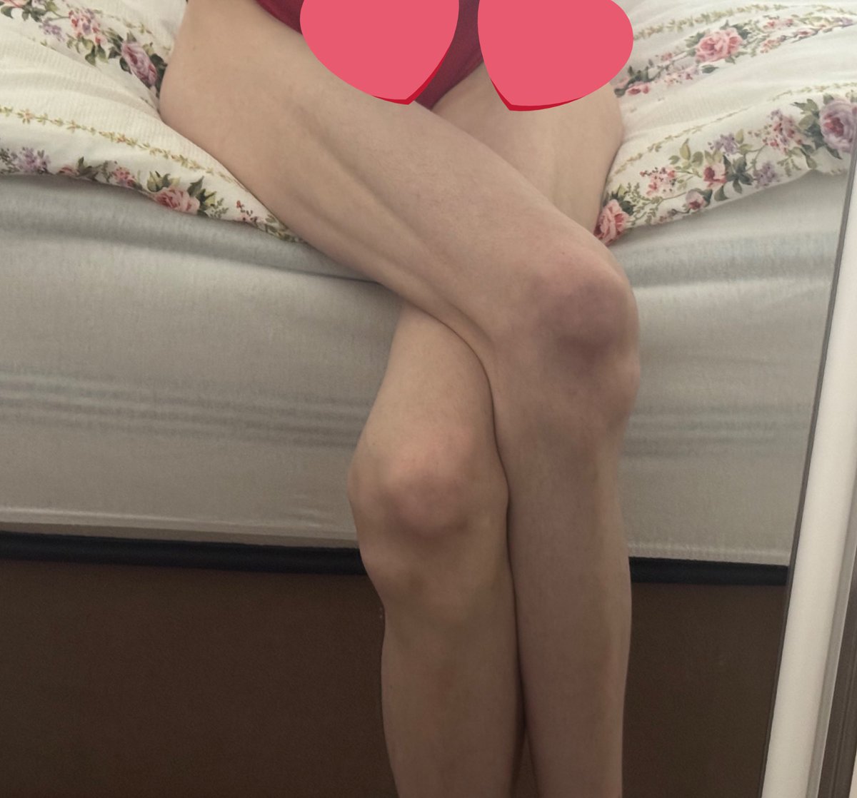 sky .✦ ── ≽^• ˕ • ྀི≼ tweet media