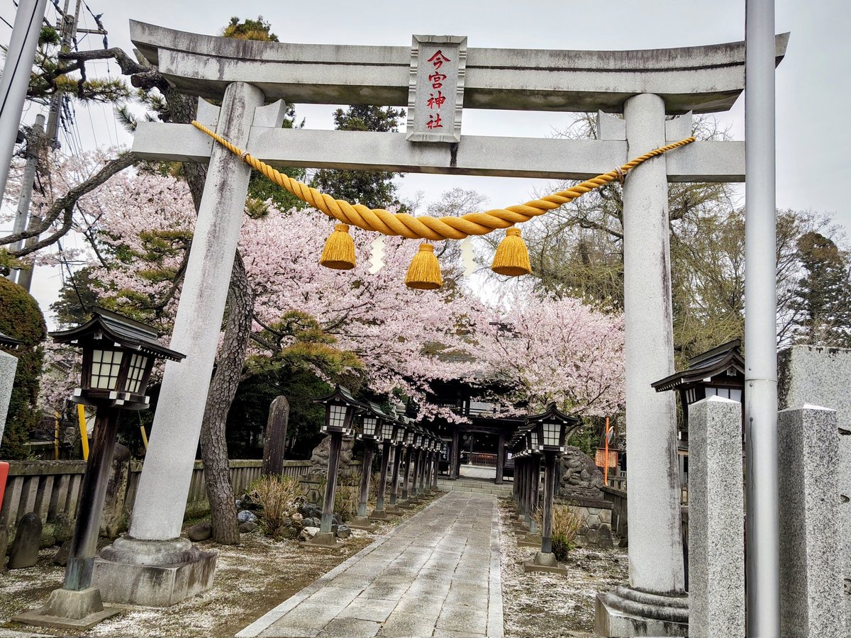 yumi85821305's tweet photo. 皆さん、こんばんは🤗
栃木県さくら市
♯今宮神社様
月詣りです
桜が満開で、とても綺麗です🌸
春は色んな草花が咲きますので
元気を頂けます💪
春が一番大好きです🥰
今年は、プランターでの野菜作りに挑戦
これからが楽しみです。
明日からまた1週間
頑張って下さい💪 https://t.co/htr4NsfwnR