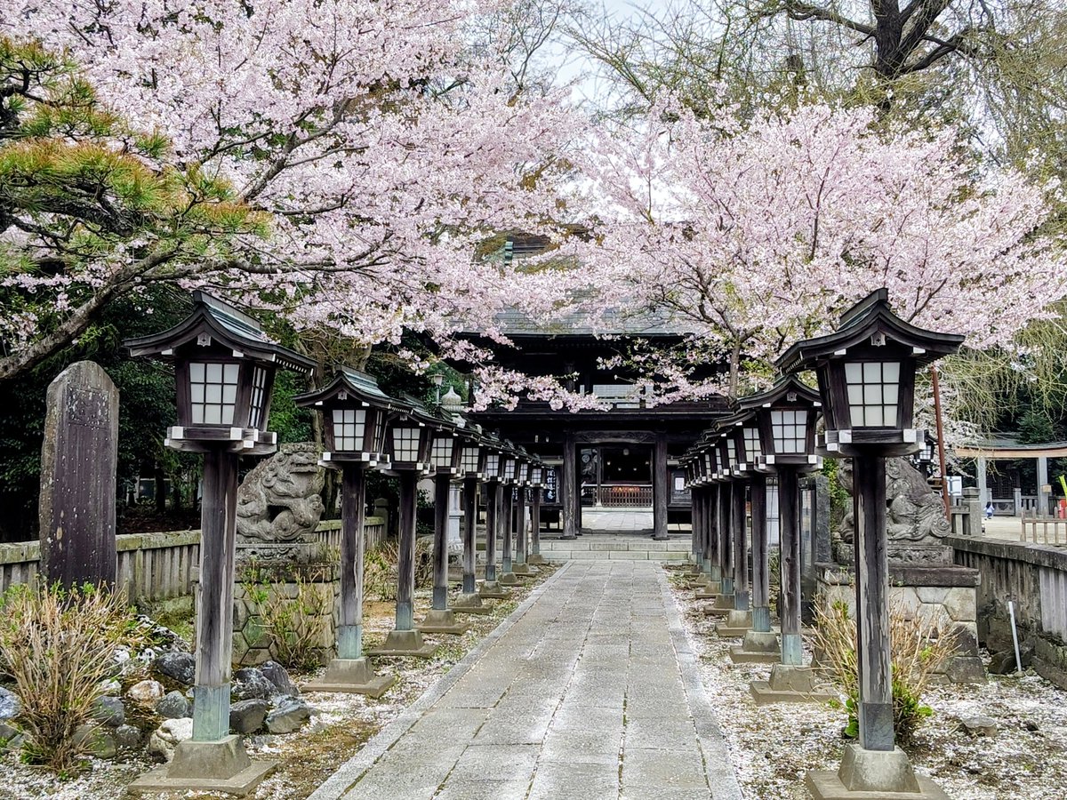 yumi85821305's tweet photo. 皆さん、こんばんは🤗
栃木県さくら市
♯今宮神社様
月詣りです
桜が満開で、とても綺麗です🌸
春は色んな草花が咲きますので
元気を頂けます💪
春が一番大好きです🥰
今年は、プランターでの野菜作りに挑戦
これからが楽しみです。
明日からまた1週間
頑張って下さい💪 https://t.co/htr4NsfwnR