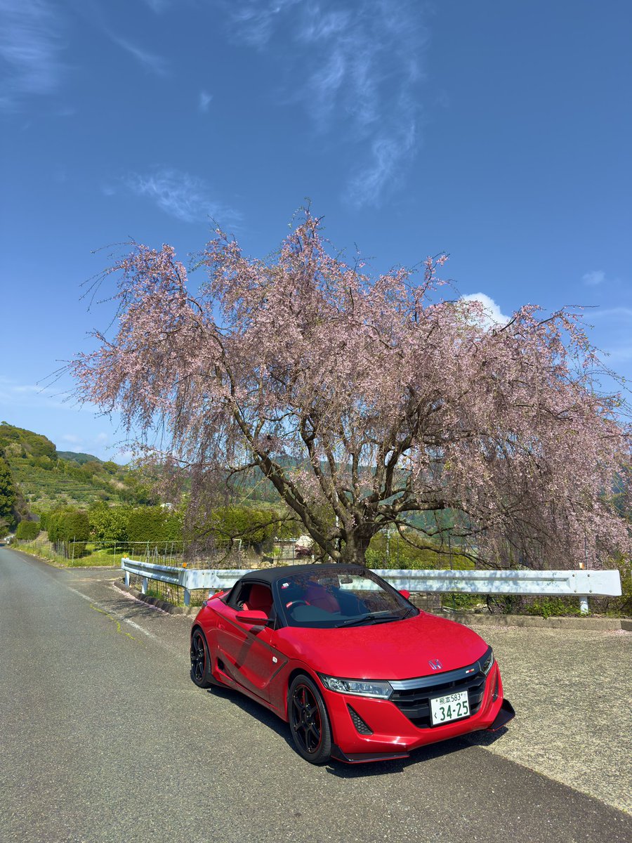 sin S660 tweet media