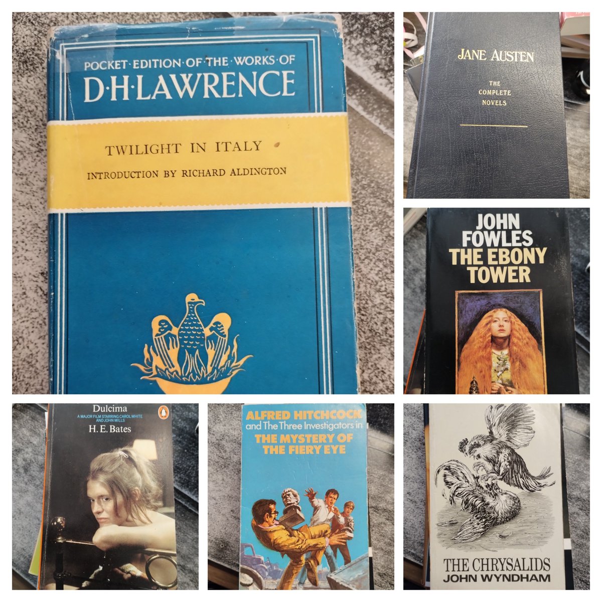 Katrina Rotgalve tweet media