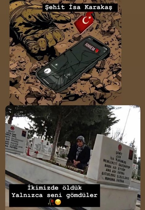 İlbilge tweet media