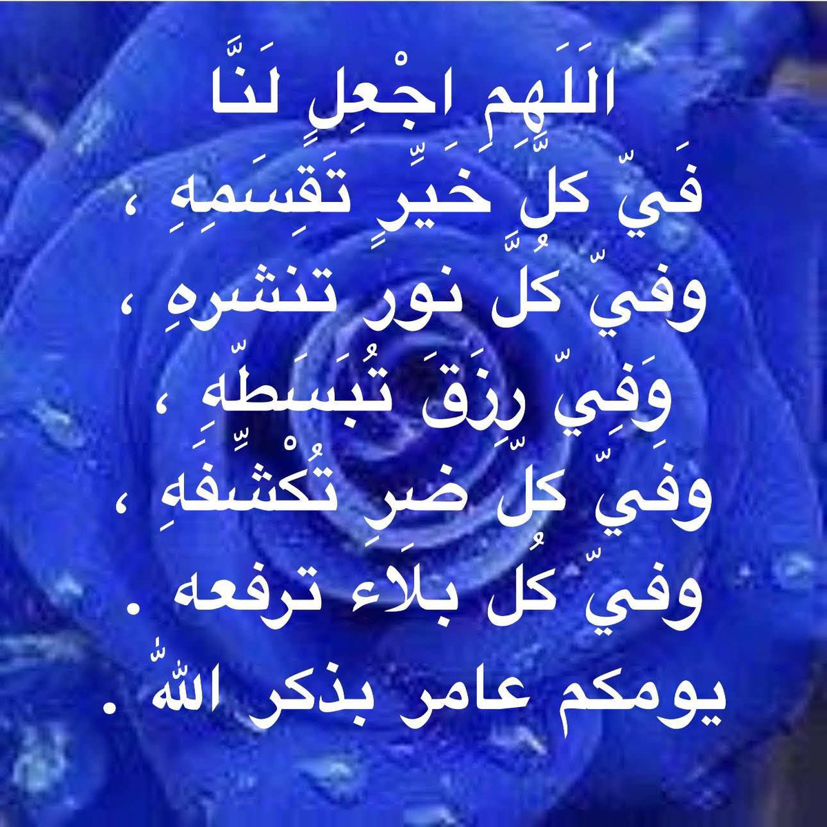 S. T. س ل ا /م ا ت. tweet media