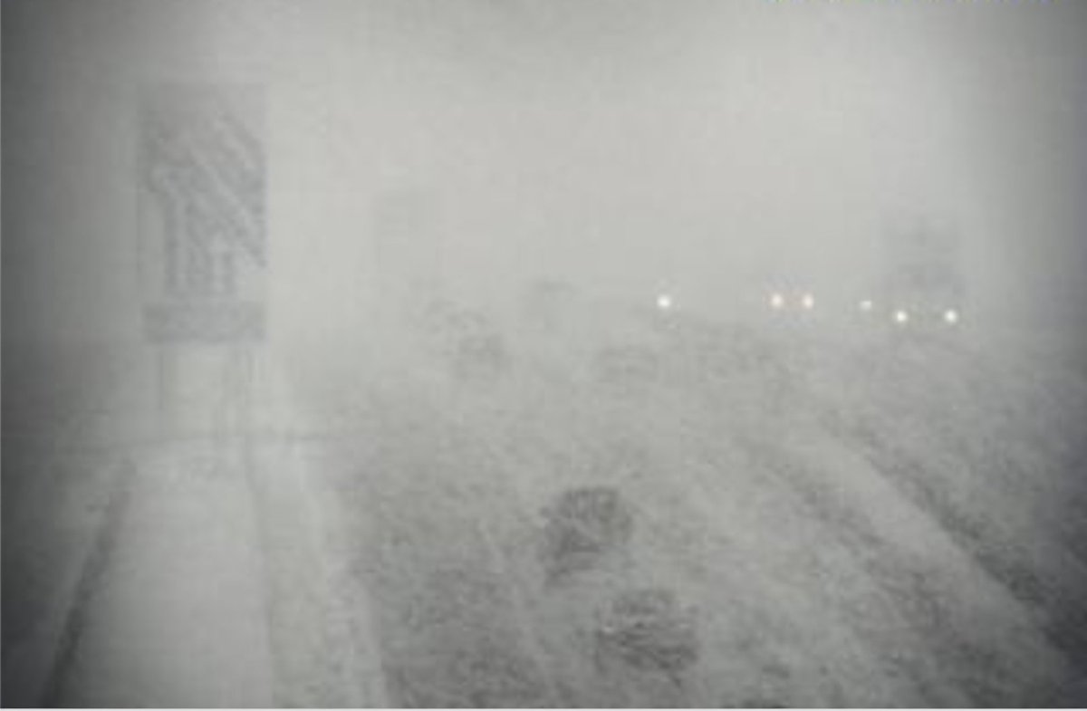 ScottishGritting.com® tweet media