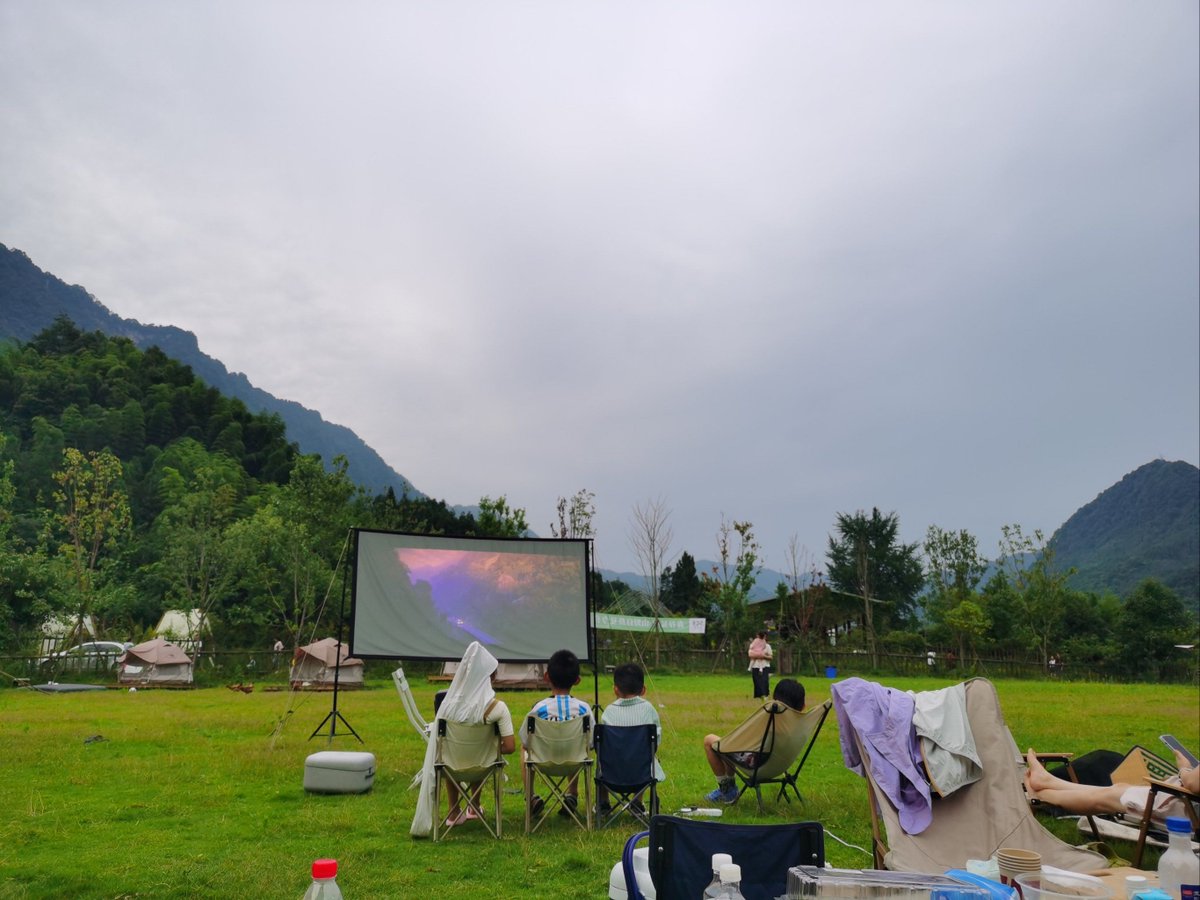 Stan Damans tweet media