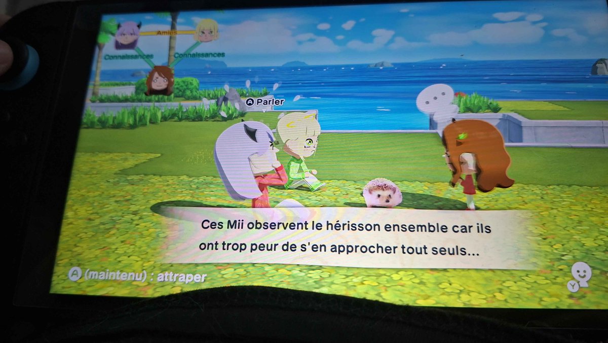 Amelia Graou 🦈🎨 tweet media