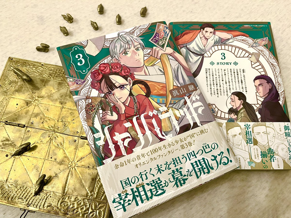 眞山 継@「シャンバラッド」3巻4月7日発売🦚 tweet media