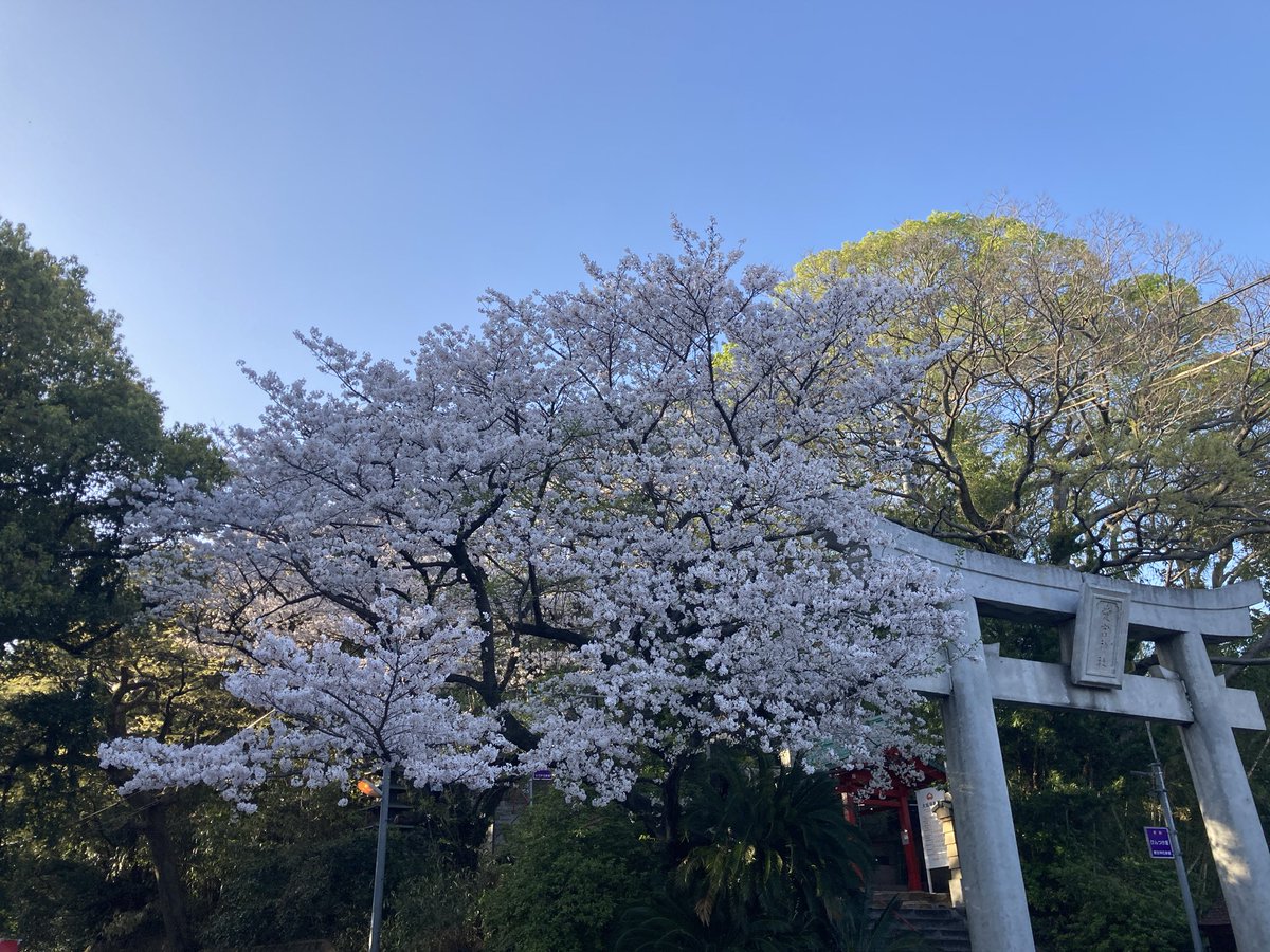 みおせる tweet media