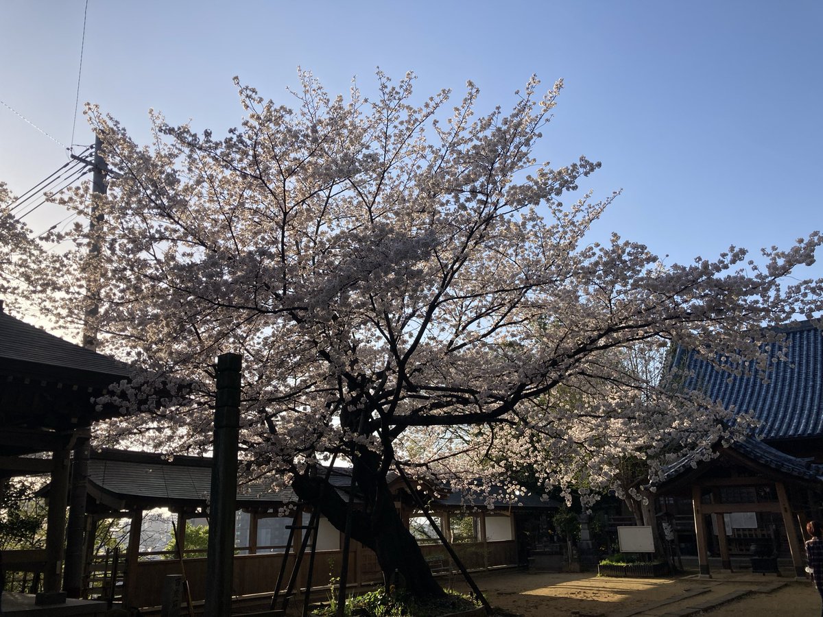 みおせる tweet media