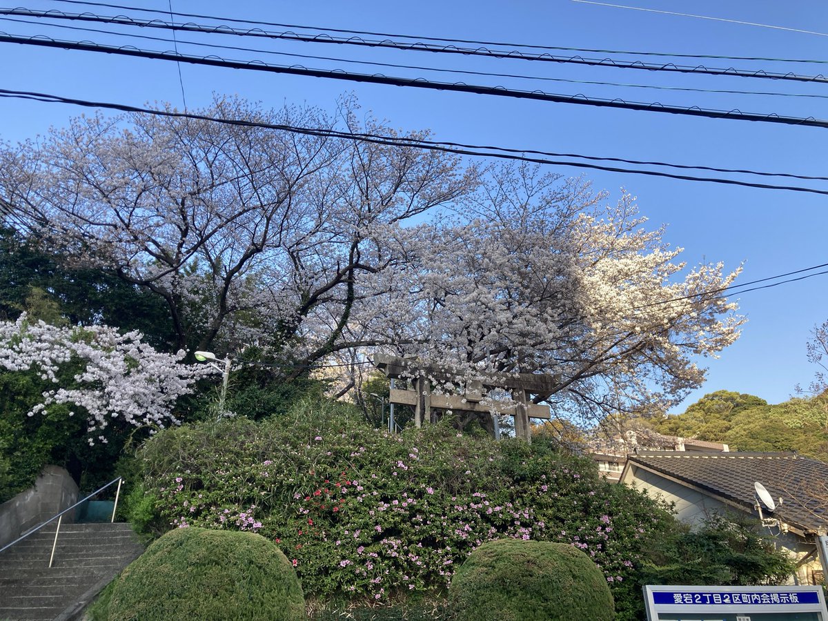 みおせる tweet media