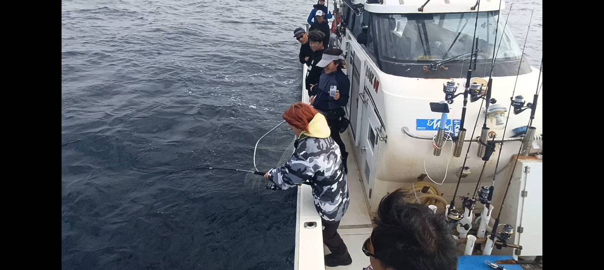 河合優花　🐠💜 tweet media