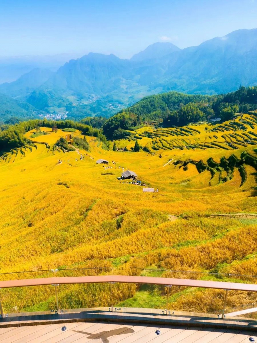 EyeSooshi's tweet photo. Woke up to golden rice terraces u0026 a sky full of fireflies  Trekked through misty valleys, shared tea with a local elder, and now—stargazing from a bamboo hut. Travel isn’t just places, it’s the moments that stick. #WanderMore #HiddenGem https://t.co/AT2c4zpsXg