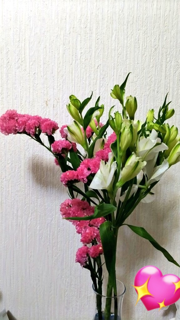 煉︎☀︎⛩☪︎˚ tweet media