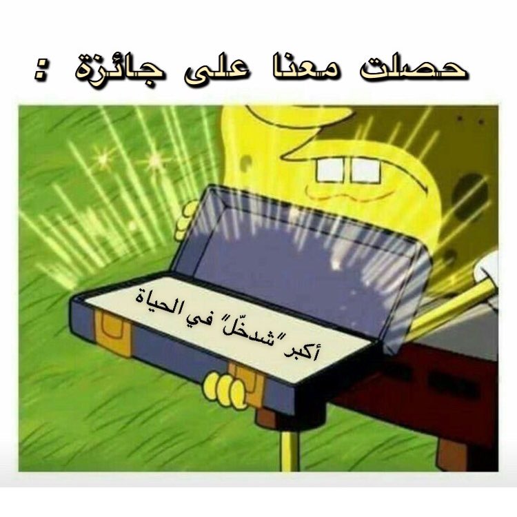 Jerusalem, Palestine 🇵🇸 tweet media