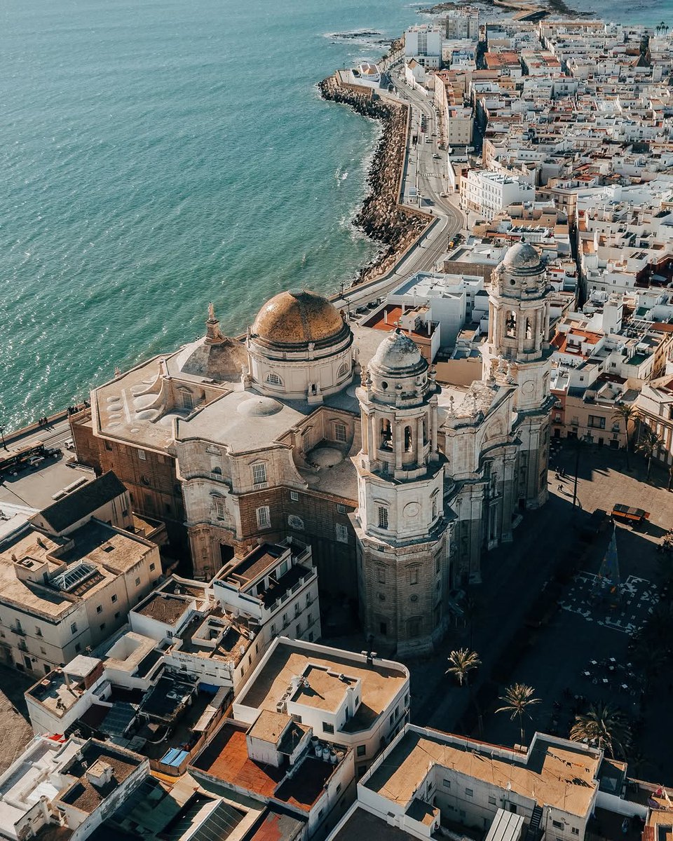 Vibrant Aesthetics tweet media