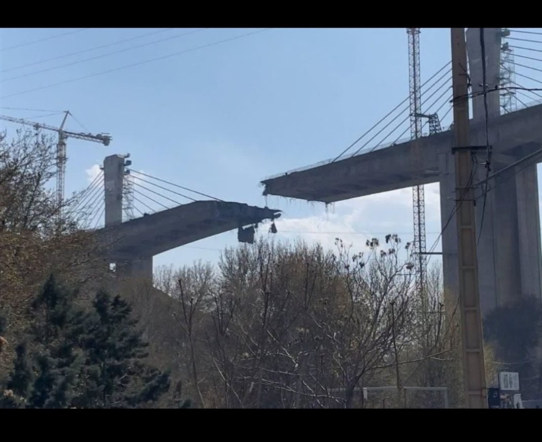 محمدرضا حسینی tweet media