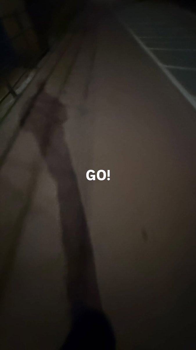 옹성우 갤러리 tweet media