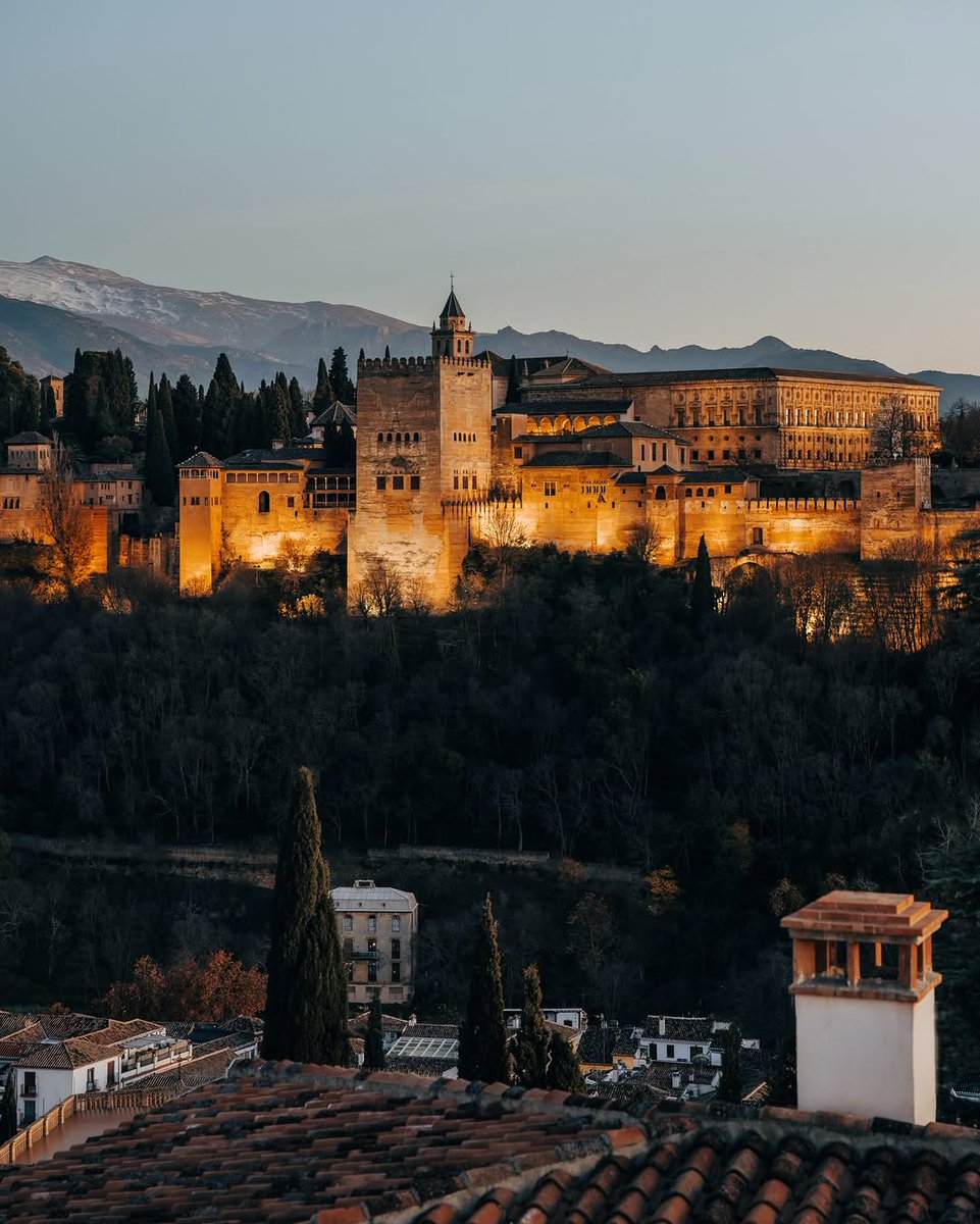 Vibrant Aesthetics tweet media