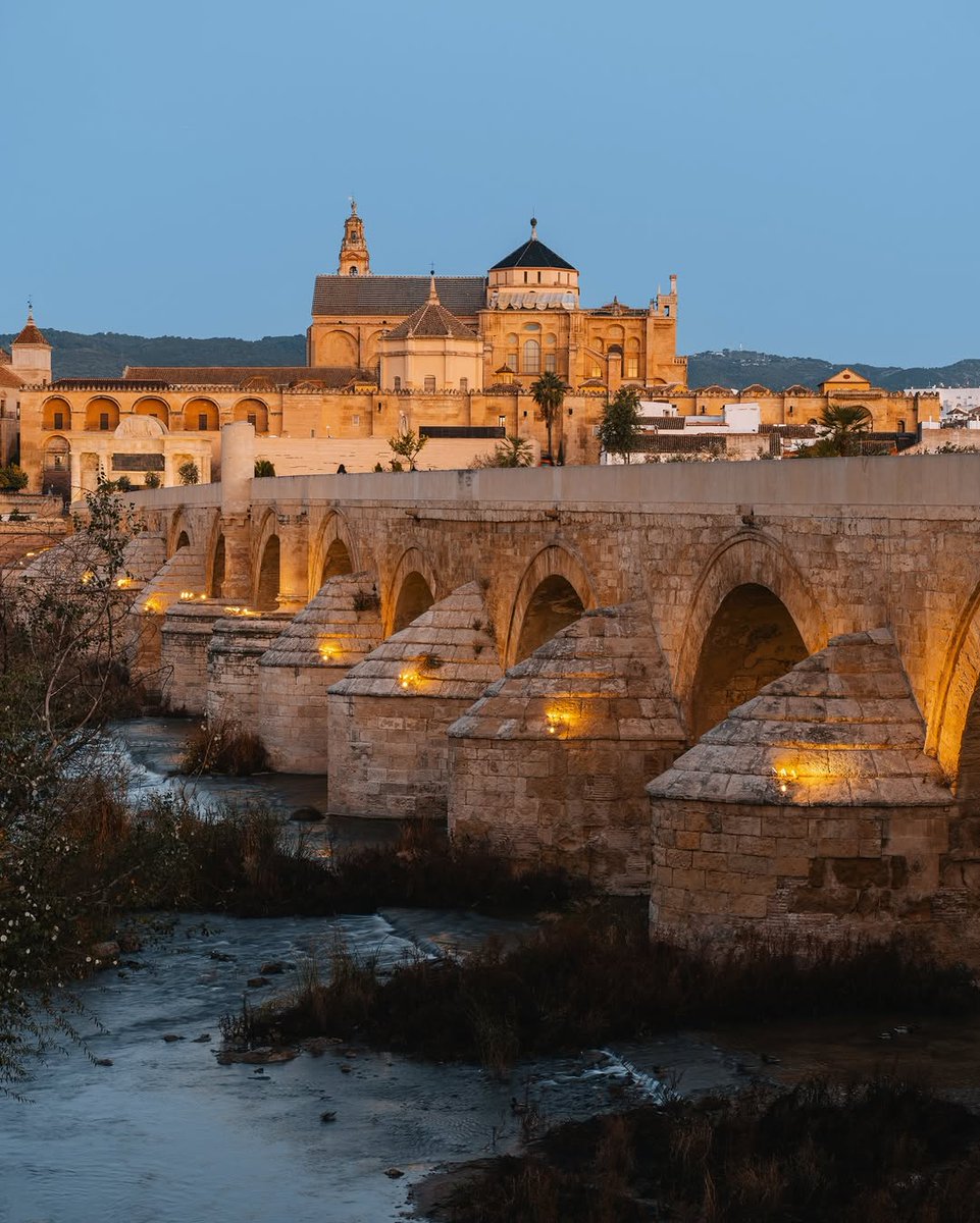 Vibrant Aesthetics tweet media