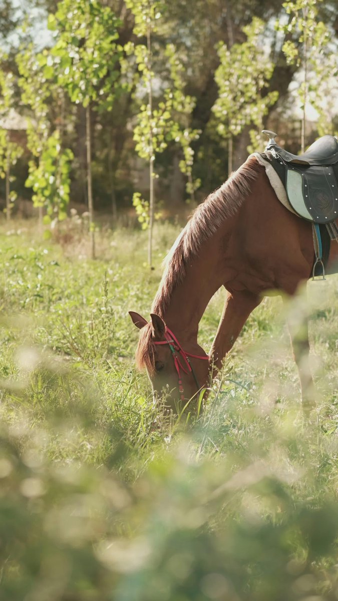 小叔与侄女.. tweet media