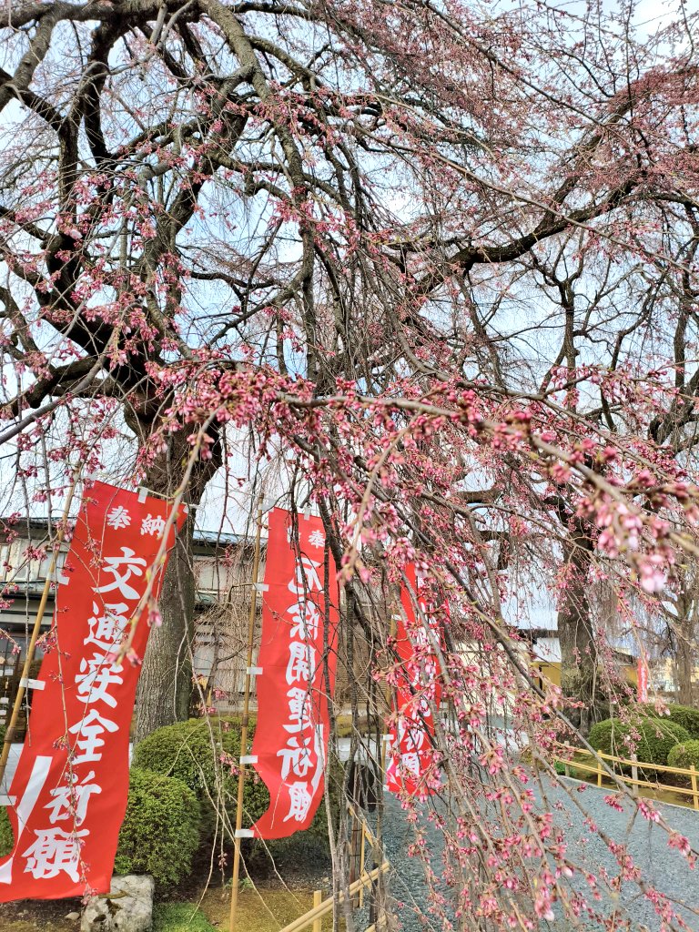 郷花巻 tweet media