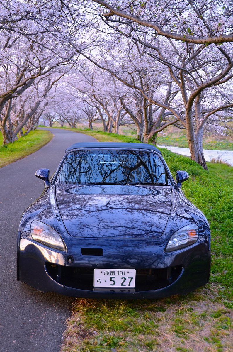 もんとおじさん tweet media