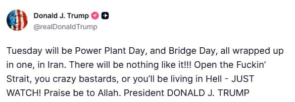 Saham Boorghani tweet media