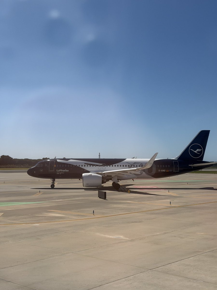 Iván RG tweet media