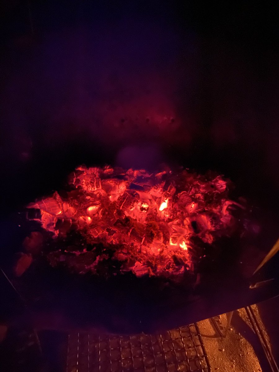 たもCAMP🏕 tweet media