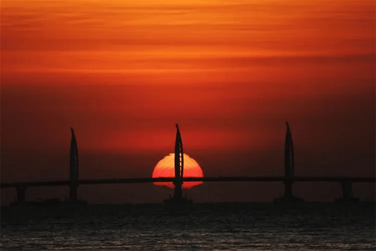 DongHanLu tweet media