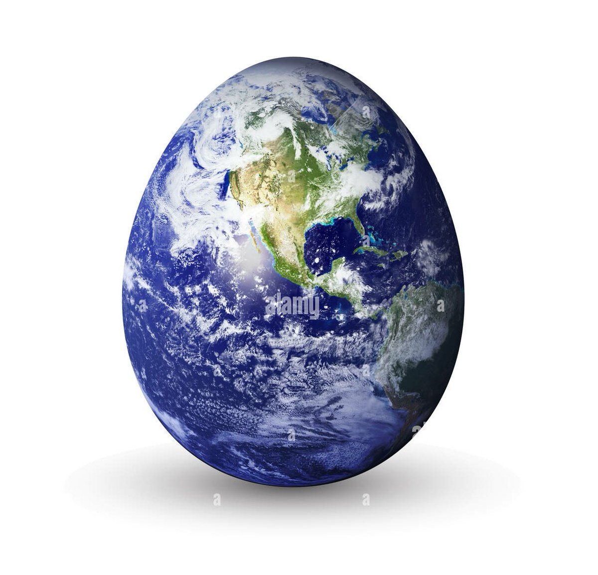 أبـوبـكر .🇵🇸 | أذكروا الله ﷻ tweet media