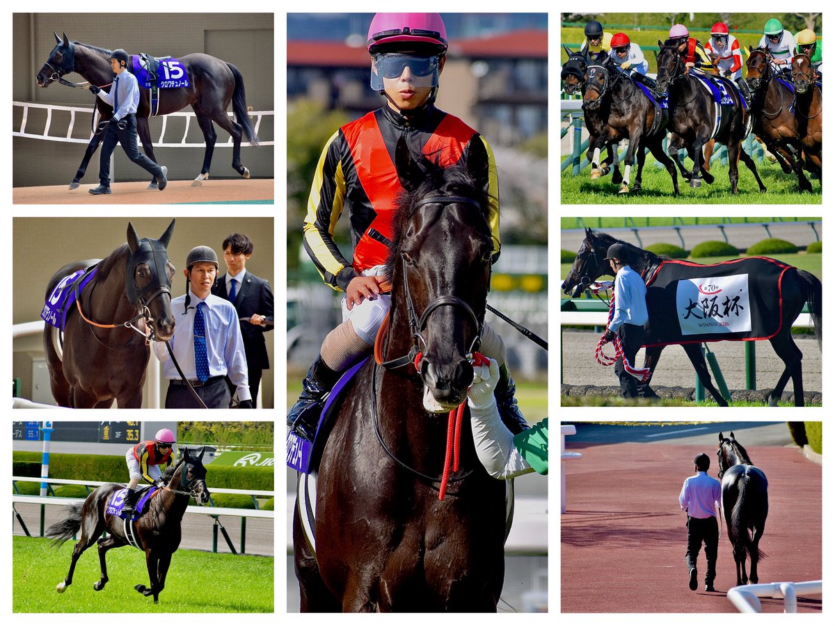 タケ坊@馬なり単走🍡 tweet media