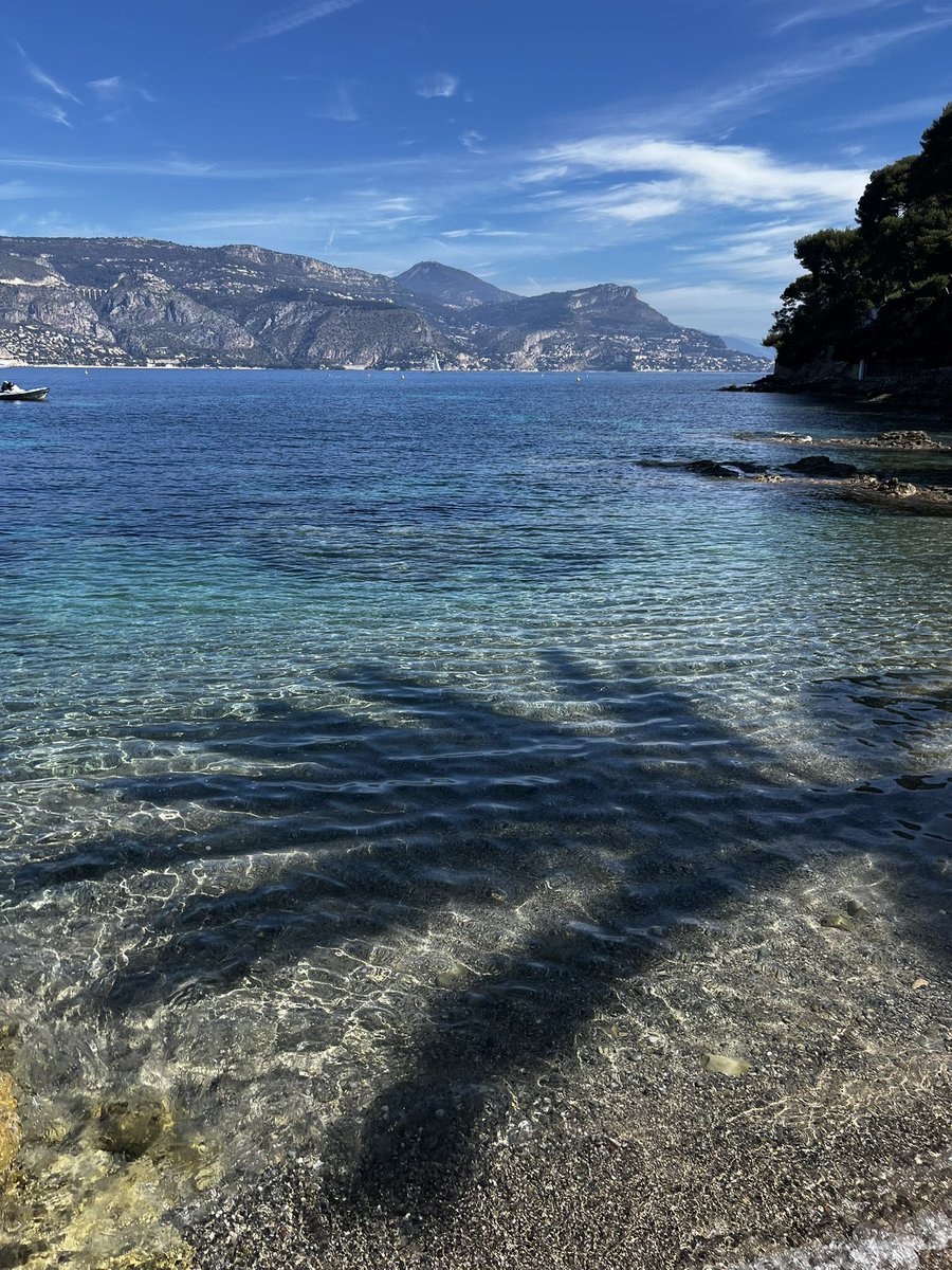 Yannick Ferrand 🍀 tweet media